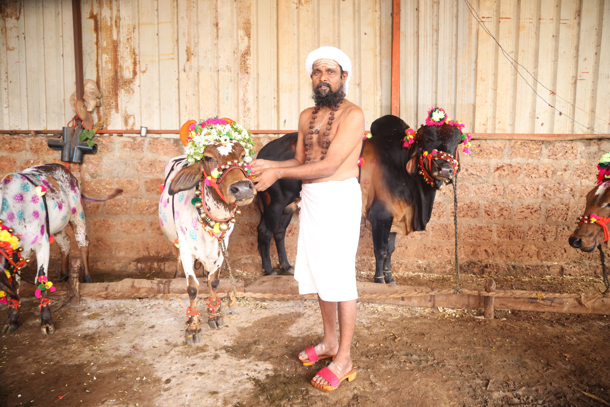 dr-basavalinga-avadhoota